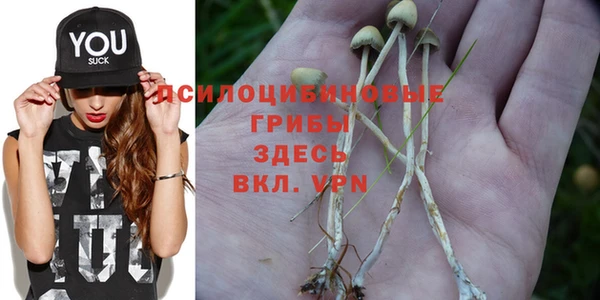 a pvp Аркадак